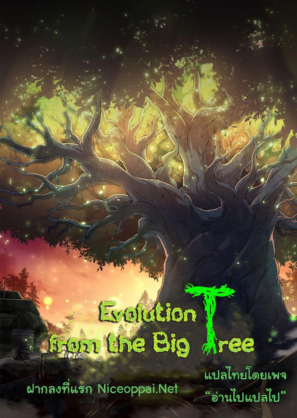 Evolution from the Big Tree 207 (1)